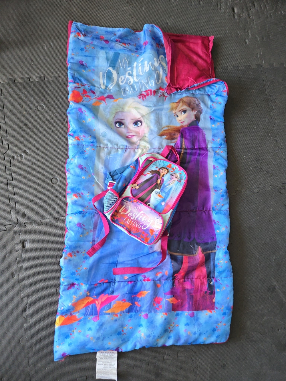 😴Frozen Kids Sleeping Bag with Backpack😴